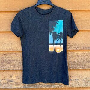 Goodfellow & Co. Mens Beach Graphic T-Shirt Size S Dark Heather Gray Cotton Blen